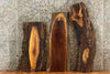 Thumbnail for 3- Live Edge Black Walnut Side Table Tops/Taxidermy Slabs 13358,13367,13773