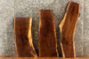 Thumbnail for 3- Live Edge Black Walnut Side Table Tops/Taxidermy Slabs 13358,13367,13773