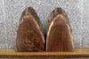 Thumbnail for 2- Oval Cut Partial Live Edge Black Walnut DIY Charcuterie Boards 13396-13397