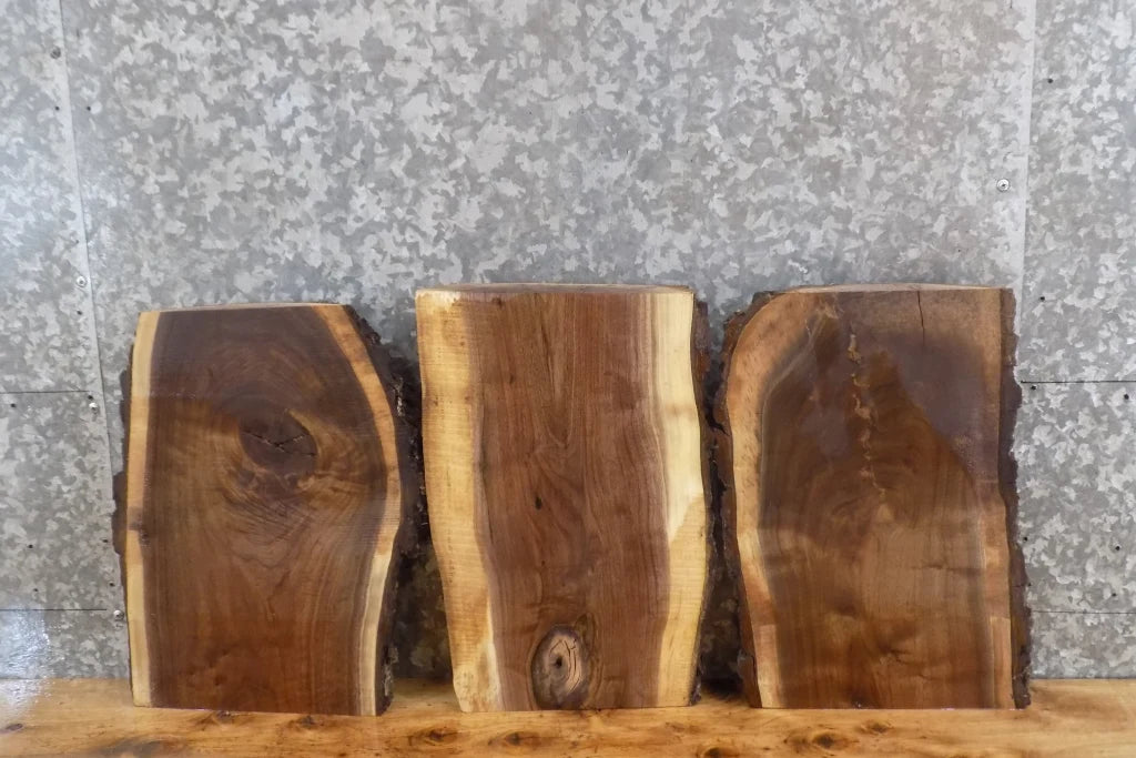 3- Live Edge Reclaimed Black Walnut Taxidermy Mount Slabs 13414-13416