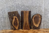 Thumbnail for 3- Reclaimed Live Edge Black Walnut Wall Art/Clock Slabs 13490-13492