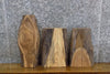 Thumbnail for 3- Natural Edge Elm Rustic Craft Pack/Taxidermy Base Slabs 13533-13535