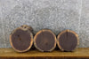 Thumbnail for 3- Natural Edge Black Walnut Round Cut Centerpieces/Craft Pack 13561-13563