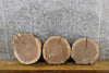 Thumbnail for 3- Natural Edge Black Walnut Round Cut Centerpieces/Craft Pack 13561-13563