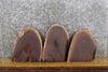 Thumbnail for 3- Partial Live Edge Oval Cut Black Walnut Taxidermy Base Slabs 13596-13598