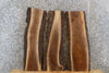 Thumbnail for 3- Live Edge Black Walnut Coffee Table Tops/Wall Shelves 13713-13715