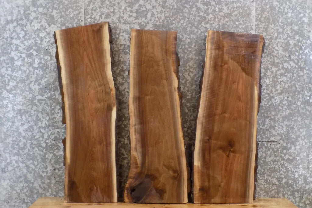 3- Live Edge Black Walnut Coffee Table Tops/Wall Shelves 13713-13715