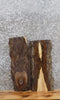 Thumbnail for 2- Live Edge Black Walnut Wall Shelf/Taxidermy Mount Slabs 13721-13722