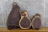 Thumbnail for 3- Reclaimed Oval Cut Black Walnut Live Edge Craft Pack Slabs 13816-13818