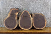 Thumbnail for 3- Round Cut Live Edge Black Walnut Craft Pack/Taxidermy Bases 13819-13821