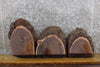 Thumbnail for 3- Reclaimed Round Cut Partial Live Edge Black Walnut Craft Pack 13873-13875