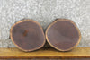 Thumbnail for 2- Natural Edge Round Cut Black Walnut Craft Pack/Taxidermy Bases 13891-13892