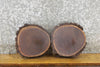 Thumbnail for 2- Live Edge Bark Black Walnut Rustic Tree Slices/Craft Pack 13895-13896