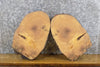 Thumbnail for 2- Rustic Round Cut Ash Live Edge Craft Pack Wood Slabs 13909-13910