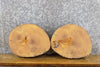 Thumbnail for 2- Round Cut Natural Edge Rustic Ash Craft Pack Wood Slabs 13921-13922