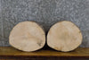 Thumbnail for 2- Round Cut Natural Edge Rustic Ash Craft Pack Wood Slabs 13921-13922