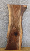 Thumbnail for Rustic Live Edge Black Walnut Side/Entry Table Top Slab 1392