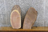 Thumbnail for 2- Black Walnut Oval Cut Rustic Live Edge Craft Pack Slabs 14002-14003