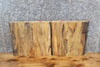 Thumbnail for 2- Live Edge Spalted Maple Taxidermy Mount/Accent Table Top Slabs 14050-14051