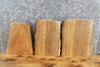 Thumbnail for 3- Live Edge Spalted Maple Craftwood/Wall Art Slabs 14063-14065