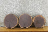 Thumbnail for 3- Black Walnut Rustic Round Cut Live Edge Taxidermy Base Slabs 14087-14089