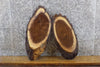 Thumbnail for 2- Black Walnut Live Edge Oval Cut Salvaged Taxidermy Bases 14096-14097