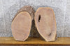 Thumbnail for 2- Oval Cut Black Walnut Live Edge Craft Pack/Taxidermy Bases 14106-14107