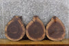 Thumbnail for 3- Round Cut Salvaged Live Edge Black Walnut Craft Pack Slabs 14126-14128