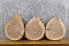 Thumbnail for 3- Round Cut Salvaged Live Edge Black Walnut Craft Pack Slabs 14126-14128