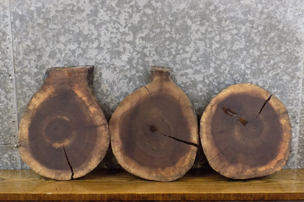 3- Round Cut Reclaimed Live Edge Black Walnut Craft Pack Slabs 14129-14131