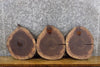 Thumbnail for 3- Live Edge Reclaimed Round Cut Black Walnut Taxidermy Bases 14138-14140