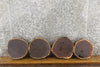 Thumbnail for 4- Black Walnut Salvaged Live Edge Round Cut Craft Pack Slabs 14145-14148