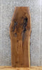 Thumbnail for Rustic Black Walnut Live Edge Coffee Table/Epoxy Project Slab 1415