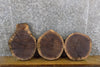 Thumbnail for 3- Rustic Round Cut Live Edge Black Walnut Centerpiece Wood Slabs 14195-14197