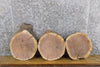 Thumbnail for 3- Rustic Round Cut Live Edge Black Walnut Centerpiece Wood Slabs 14195-14197