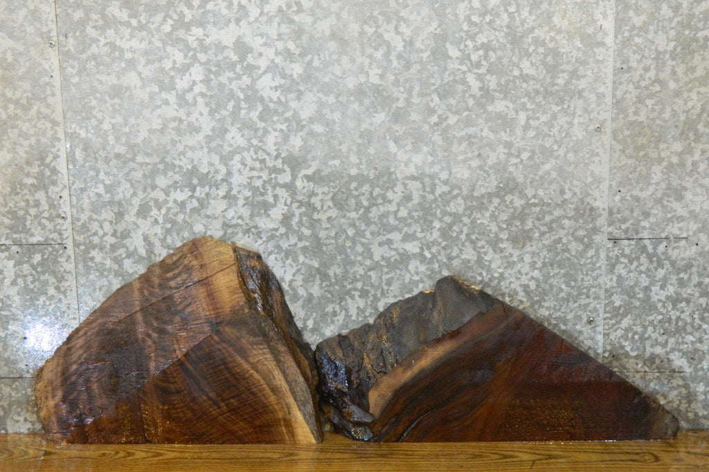 2- Partial Live Edge Black Walnut Rustic Slabs 14214-14215