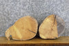 Thumbnail for 2- Salvaged Round Cut Live Edge Mulberry Craft Pack Wood Slabs 14312-14313