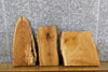 Thumbnail for 3- Live Edge White Oak Craft Pack/Taxidermy Base Wood Slabs 14349-14351