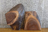 Thumbnail for 2- Live Edge Black Walnut Taxidermy Bases/Craft Pack Wood Slabs 14375-14376