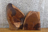 Thumbnail for 2- Live Edge Black Walnut Taxidermy Bases/Craft Pack Wood Slabs 14375-14376