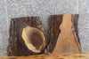 Thumbnail for 2- Live Edge Black Walnut End/Accent/Coffee Table Top Slabs 14386-14387