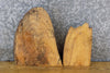 Thumbnail for 2- Natural Edge Ash Rustic Taxidermy Bases/Craft Pack Slabs 14429-14430