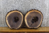 Thumbnail for 2- Live Edge Black Walnut Salvaged Round Cut Craft Pack Slabs 14472-14473