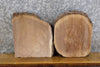 Thumbnail for 2- Live Edge Round Cut Black Walnut Display Stand Slabs CLOSEOUT 14480-14481