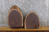 Thumbnail for 2- Black Walnut Oval Cut Salvaged Live Edge Craft Pack Slabs 14501-14502