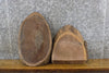 Thumbnail for 2- Black Walnut Oval Cut Salvaged Live Edge Craft Pack Slabs 14501-14502