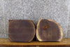 Thumbnail for 2- Reclaimed Partial Live Edge Black Walnut Round Cut Craft Pack 14524-14525