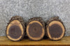 Thumbnail for 3- Reclaimed Round Cut Live Edge Bark Black Walnut Craft Pack 14731-14733