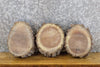 Thumbnail for 3- Reclaimed Round Cut Live Edge Bark Black Walnut Craft Pack 14731-14733