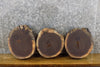 Thumbnail for 3- Rustic Round Cut Live Edge Black Walnut Craft Pack Wood Slabs 14737-14739